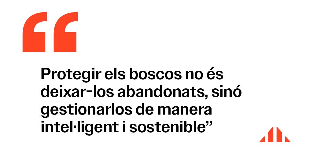 ERC_CastellarV's tweet photo. Ja podeu accedir a l'article de la setmana, que publica avui @lactual, titulat “La terra ens parla”, escrit pel regidor i president de la Secció Local d'#ERCCastellar, Txema Navarro.

🌐 Accés directe a la bio 
https://t.co/NFlxU6nHRA

#CastellarDelValles
#ElCastellarQueVolem https://t.co/PgST2EnWTj