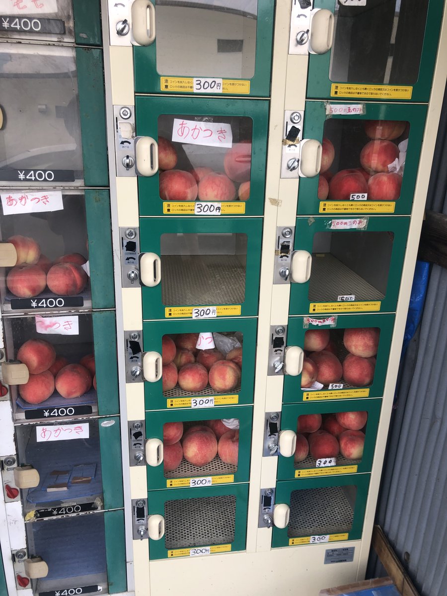t_beko's tweet photo. 桃の自販機ではバズらないですよね、、、、 https://t.co/i5mEzq2YZo