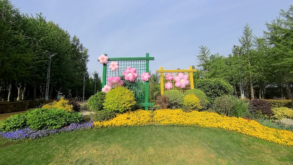 BassModz's tweet photo. [Our Photography Club’s weekend outing to the city botanic garden is here! Snap vibrant blooms, meet fellow shutterbugs, and share your best shots by Sunday evening. DM to sign up now! ]， https://t.co/Nqunpjc0Tw