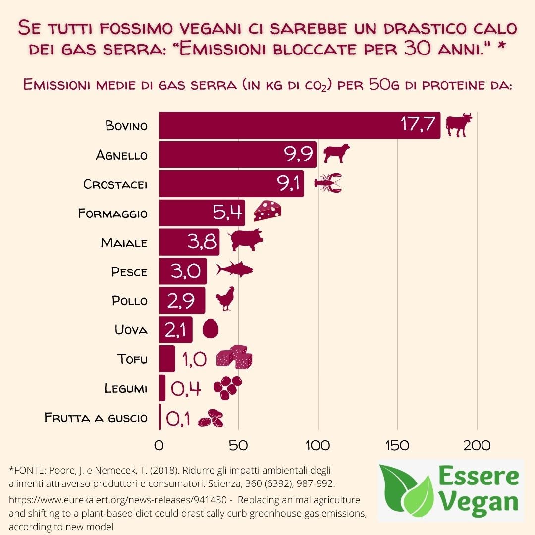 EssereVegan's tweet photo. Se tutti fossimo vegani ci sarebbe un drastico calo dei gas serra: 👉“Emissioni bloccate per 30 anni”👈
Grazie a un modello matematico due scienziati hanno determinato che una dieta 100% vegetale globale, farebbe crollare le emissioni di gas a effetto serra in atmosfera. https://t.co/3ltfbOElAo