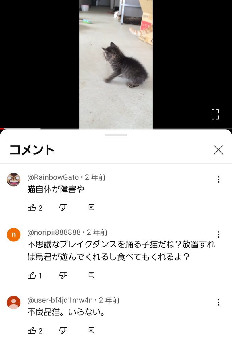 Sungeesaraun's tweet photo. @jyuuishi_matsu ご返事ありがとうございます。
悪ノリする奴は炎上すれば喜ぶし、無視すれば「黙認された」ととらえてコメントが悪化する事が多いので個人的に大きな問題点だと思ってます
中には反愛護といいながらこんなの書く奴もいるし…
これらも冷笑タイプでしょうか？
※全部室内飼育の猫動画のコメントです https://t.co/JAtmg3tBDP