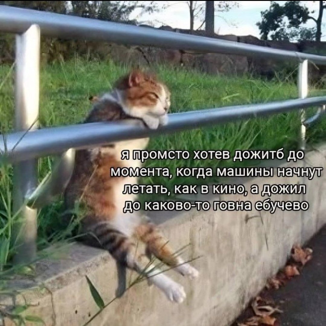 riqoshet's tweet photo. https://t.co/omPkHstXT3