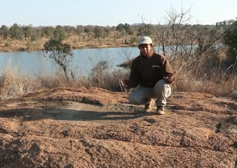loveellisSwiss's tweet photo. Trishala, thank you for telling us the story of this rock!
I don't even know why Cedric is laughing after this segment ; she tells us so many interesting things, and her knowledge is comprehensive!! I really appreciate Trishala!
I won't say any more ! βπβ
#wildearth #notnice https://t.co/S72Z64ZU47
