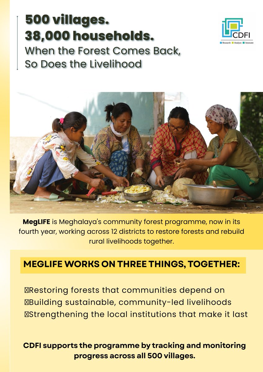 IndiaCDFI's tweet photo. Forests aren't just restored, they're lived in. Now in its 4th year, MegLIFE is a @jica_direct-funded project managed by @mbda_meghalaya, covering 500 villages in Meghalaya.

CDFI supports the project by tracking progress, helping 38,000+ households build #SustainableLivelihoods. https://t.co/PLAFW2IFsK