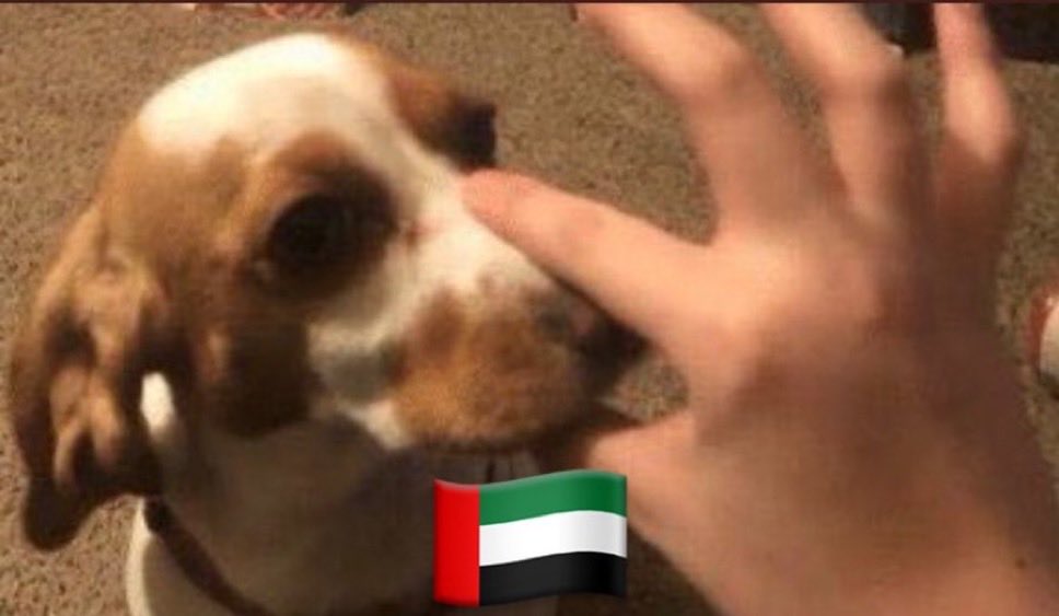 kha_181's tweet photo. @Ae971R @kareem526526 @Kuwaait_q8 كل منشن نباح بسك تنابح كان فيكم خير جزركم حروها راكبينكم المجوس ومحتلتكم وراكبينكم النجوس  الصهاينه يتحكمون فيكم https://t.co/9CG6s8OOVZ