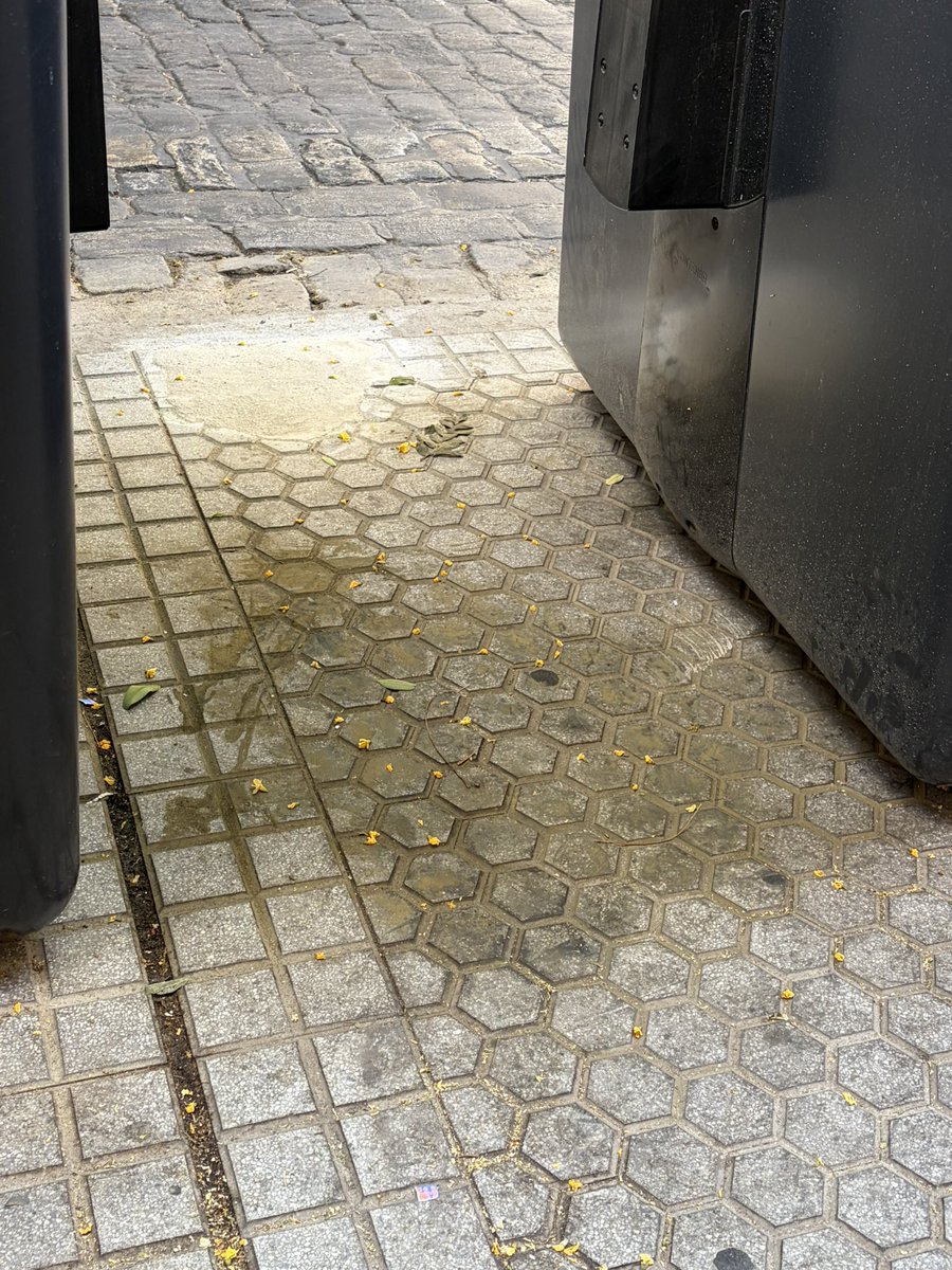 Esteritacolome's tweet photo. No sé de ordenanzas municipales sobre colocación de contenedores pero si sé de olores, salubridad y limpieza….en los pisos turísticos nuevos de San Jacinto quedarían mas bonitos …@LipasamSevilla @jlsanzalcalde @JoaquinSaraviaG @Man_ales @Ayto_Sevilla https://t.co/oopCZIcQ6u