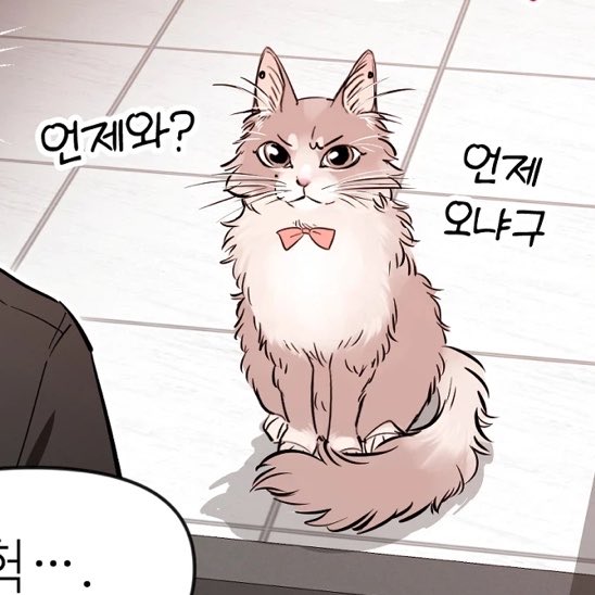 snowbuni_0's tweet photo. 7월 10일은 아기 고양이의 날 
아가 고양이 이주빈 보는 날 https://t.co/w4iCYo05Av