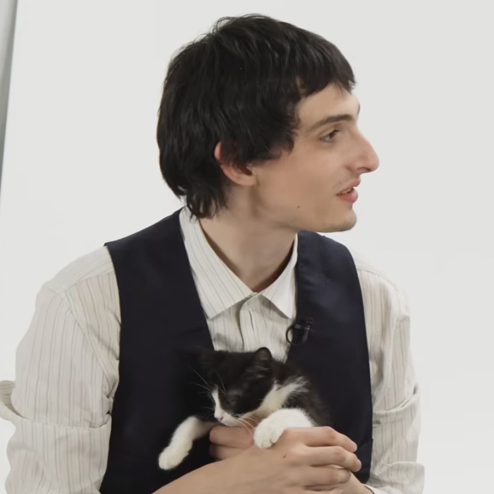 finnsideprofile's tweet photo. finn wolfhard’s side profile with a cat https://t.co/yDRN6Qv5Wd