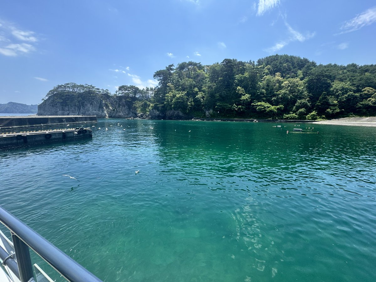 stellar_bear_jp's tweet photo. 今日は宮古へ。ウミネコめっちゃ寄ってくる😳そして海が美しい✨️この近くにある「めかぶラーメン」もオススメ🍜

明日は地元へ戻ります🚗³₃ 

 #宮古市 
 #浄土ヶ浜 
 #宮古うみねこ丸 https://t.co/KpoVfIaAmv