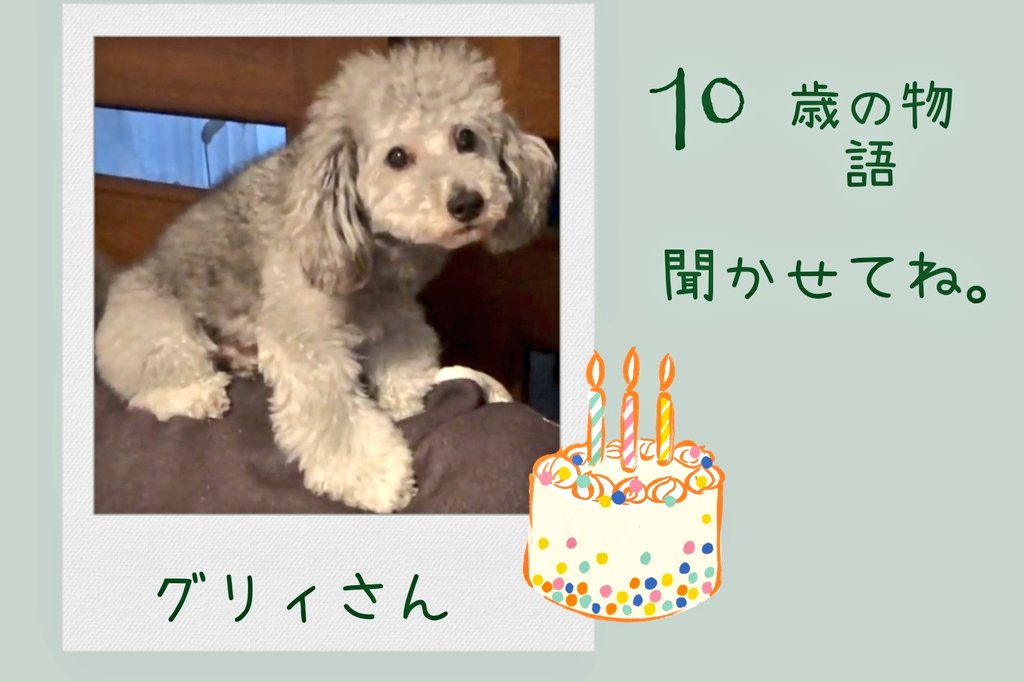 LaCj3vynw0PMJSt's tweet photo. お誕生日おめでとう！✨
お祝いﾒｯｾｰｼﾞたくさん
とてもほっこりでした。

#グリィちゃんねる
#油木田一清
#グリィさんお誕生日 https://t.co/P9aTzR2fGK