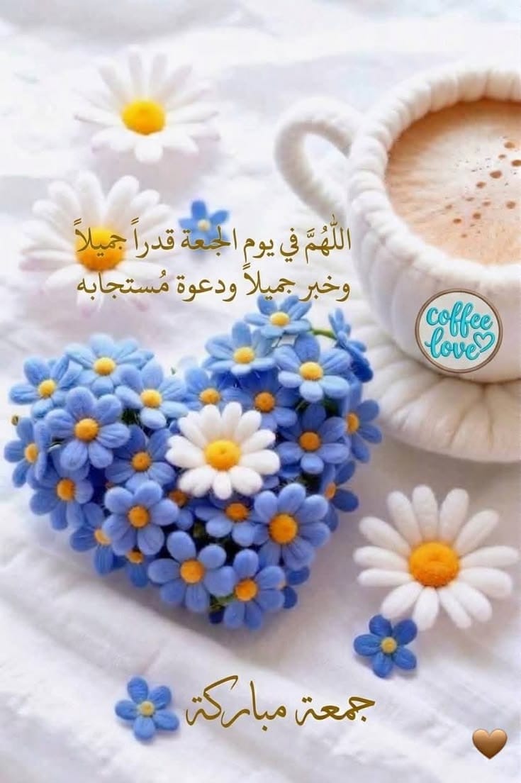 pell_jq's tweet photo. @Dr_nova778 https://t.co/vyW8W8ayy8