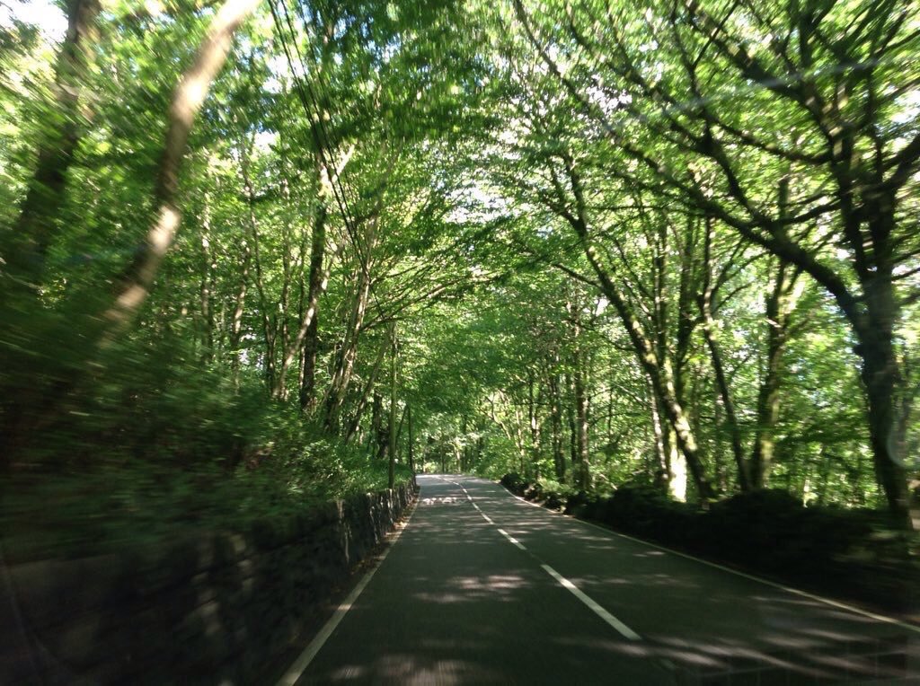 jobutlerthomas's tweet photo. #green. "....the fresh emblem of well founded hopes ".Mary Webb
#weekendwalks. #family https://t.co/bVdZ6YQs9O
