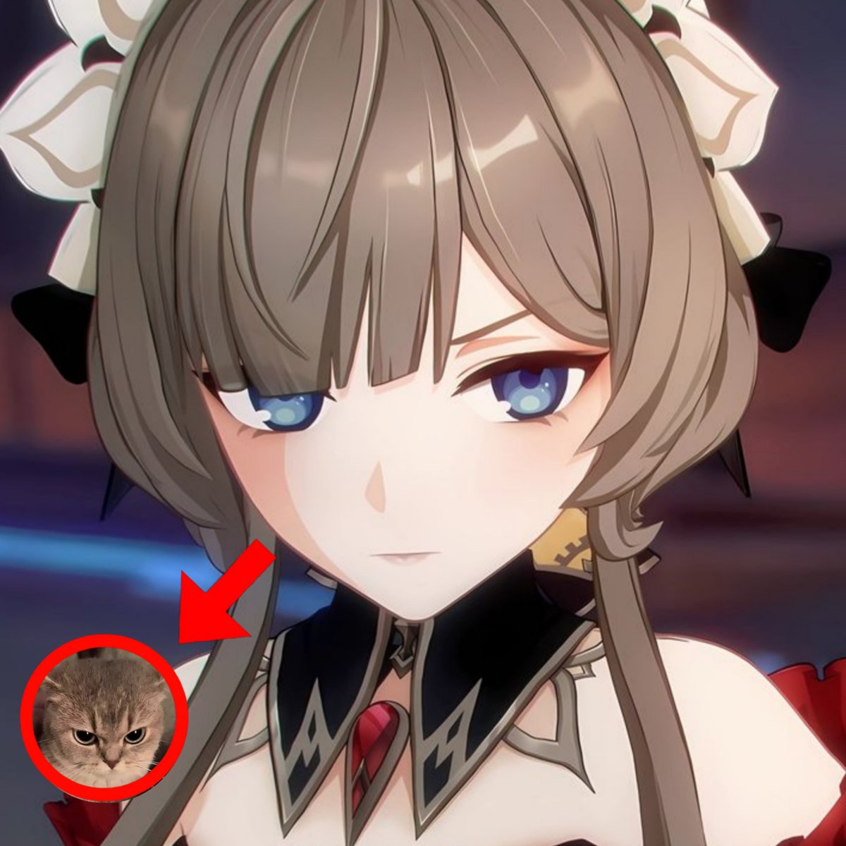 mikosdoll's tweet photo. happy national sandkitty day ≽^• ˕ • ྀི≼ https://t.co/bMYDMcdVuh