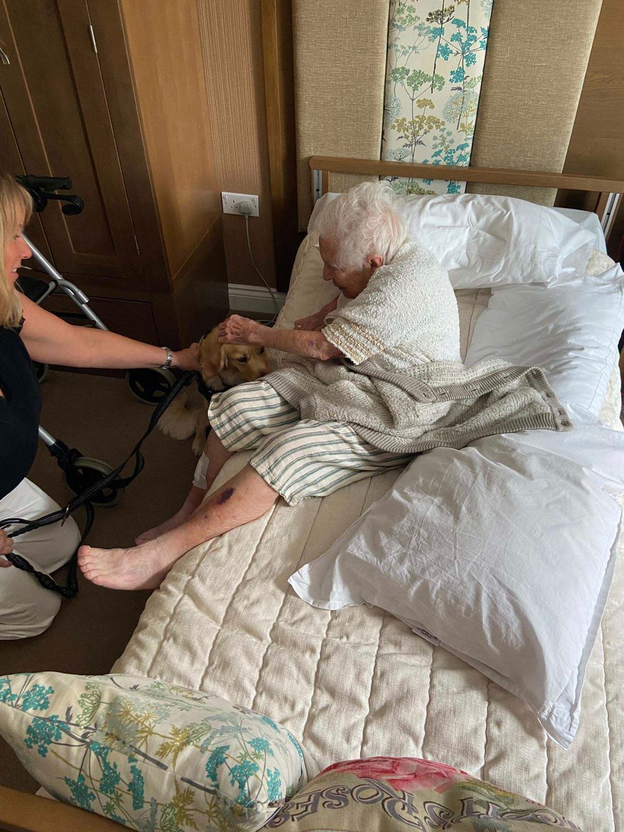 rc_wellbeing's tweet photo. 🐾 Audrey has been sharing smiles at a local care home!

From cuddles to companionship, our Wellbeing Woofers create moments of connection, comfort and joy wherever they go. 💛

#WellbeingWoofers #TherapyDogs #CareHomeWellbeing #RowanCahillWellbeing https://t.co/xJTOeUNl9h