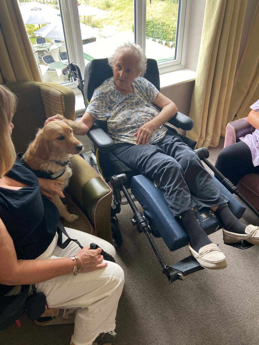 rc_wellbeing's tweet photo. 🐾 Audrey has been sharing smiles at a local care home!

From cuddles to companionship, our Wellbeing Woofers create moments of connection, comfort and joy wherever they go. 💛

#WellbeingWoofers #TherapyDogs #CareHomeWellbeing #RowanCahillWellbeing https://t.co/xJTOeUNl9h