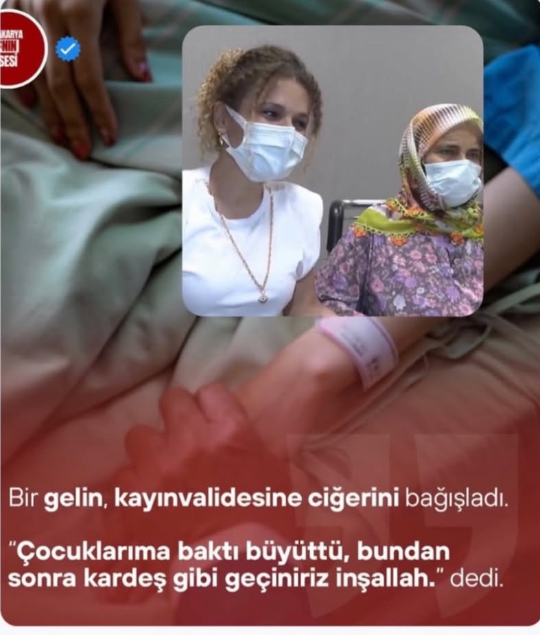 NEHIR tweet media