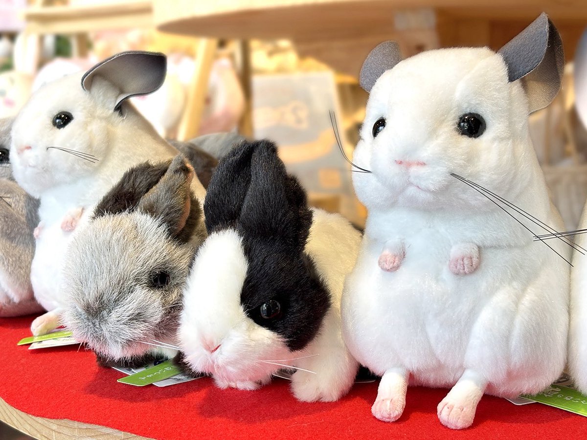 浅草橋本店・吉徳オンラインショップ】 また、欠品しておりました