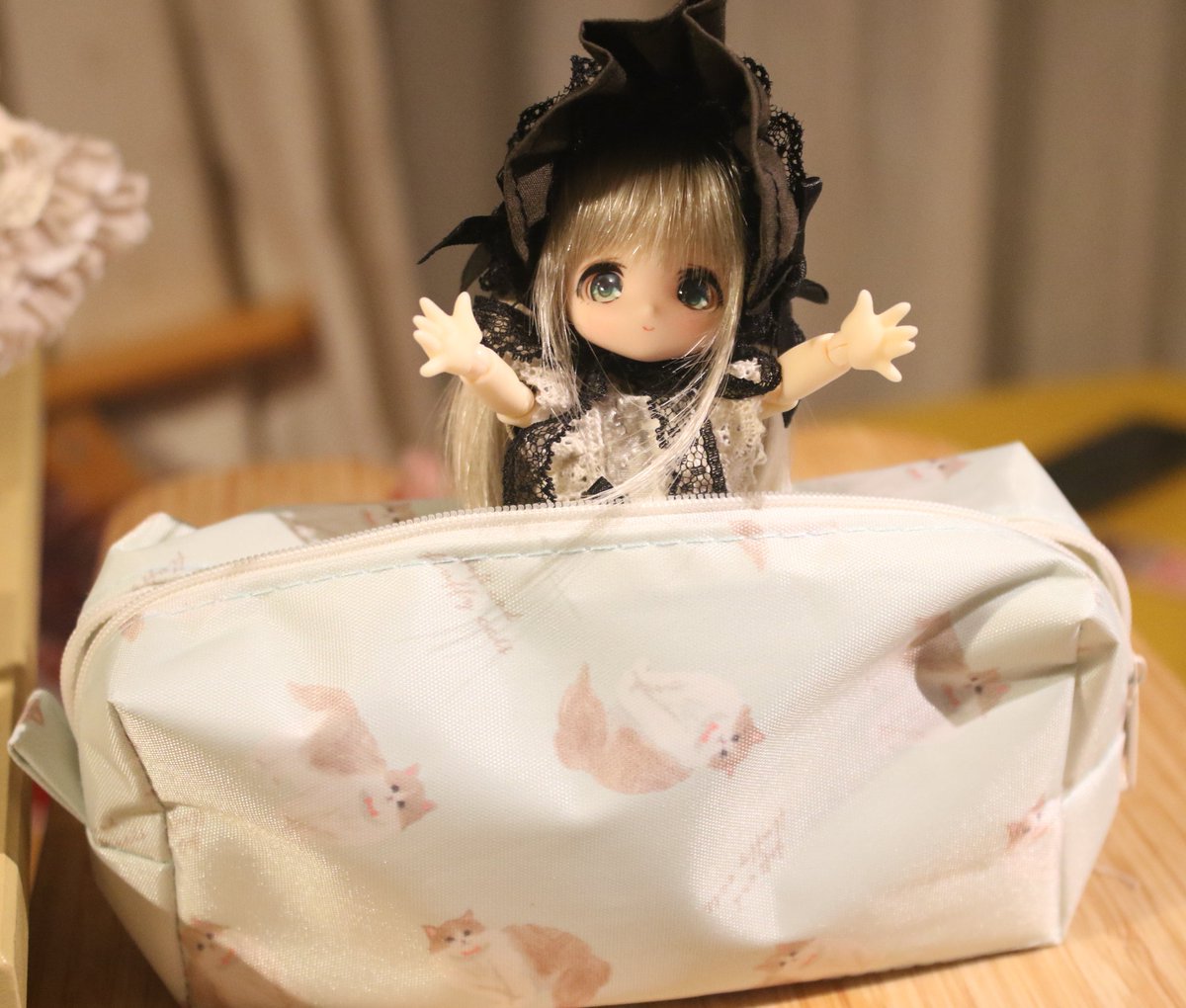 udon3cm's tweet photo. お出かけ用のねこちゃん柄ポーチをダイソーで買った！
#あまむす https://t.co/Sgq8EhYqSS
