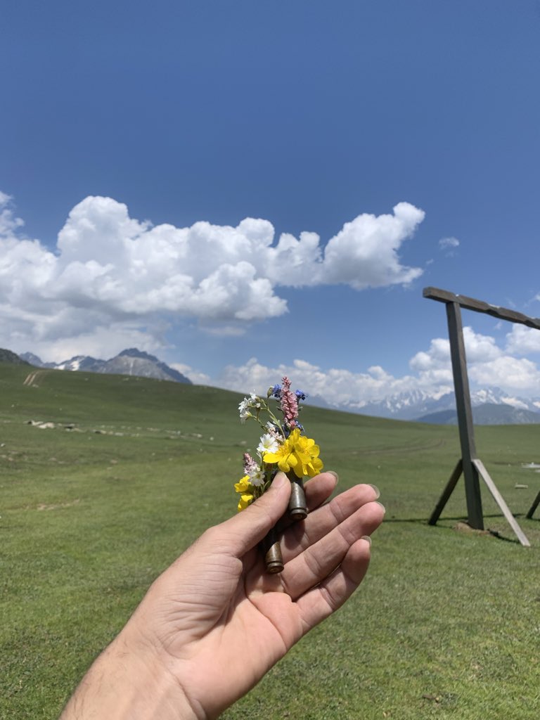yourskhankamran's tweet photo. 🌻⛰️ https://t.co/mEBdZjHF6m