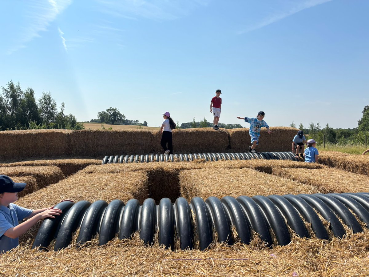 Hay bale fun  Image