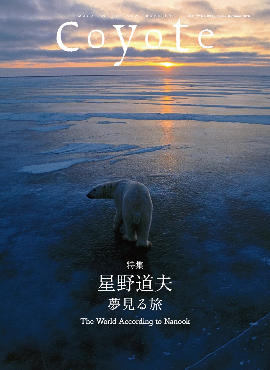 coyote_info's tweet photo. 7月15日発売の『Coyote』では、今年没後30年を迎える写真家・星野道夫を特集します。

星野が遺したホッキョクグマ（ナヌーク）の作品群を軸に、彼が繰り返し語っていた、私たちの日常と並行して流れる、変わることのない悠久の自然の物語をお届けします。
https://t.co/lCKLScDT9v https://t.co/XusMioKS27
