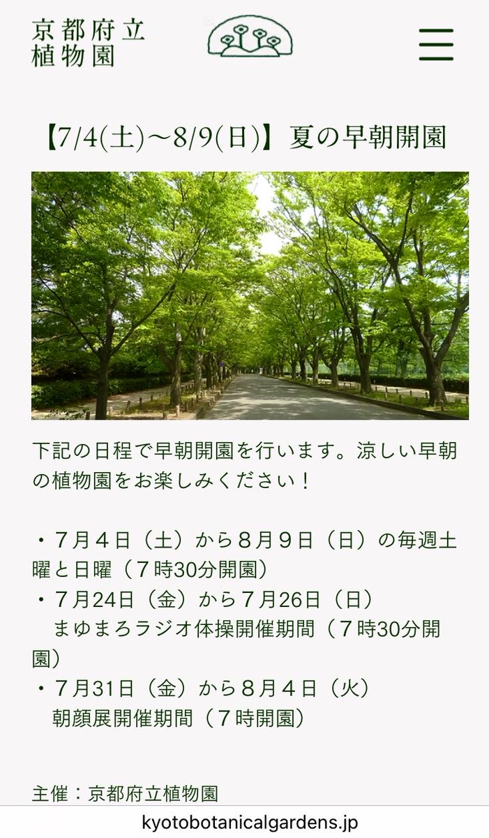 botkinosei's tweet photo. 明日と明後日（7/11土曜、7/12日曜）も、毎年恒例の京都府立植物園、夏の早朝開園7:30。
レンゲショウマ（蓮華升麻）とハス（蓮華）のお花の大きさ、かたち、色、透明感など、見比べできるかもしれません。#京都府立植物園 https://t.co/OdlMqVqFKY