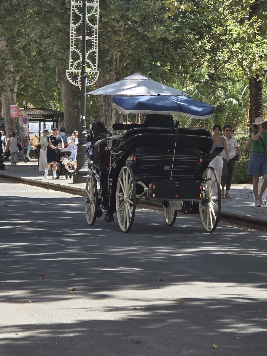Lucanio666's tweet photo. Wagon with pure white wheels full mod #rdr2 https://t.co/LIys157v0o