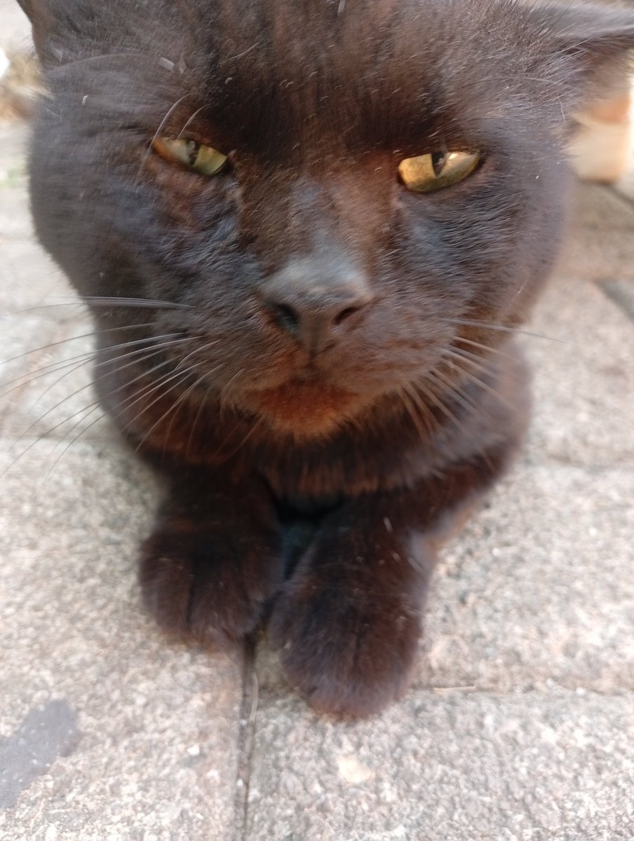 inooolinooo's tweet photo. WOWOWOOWOWOWKWOWKSOOWOWKAOWK KOCAK BGT MUKANYA AKAKAKAKKWKAOWKA https://t.co/W5YyIMMZmh