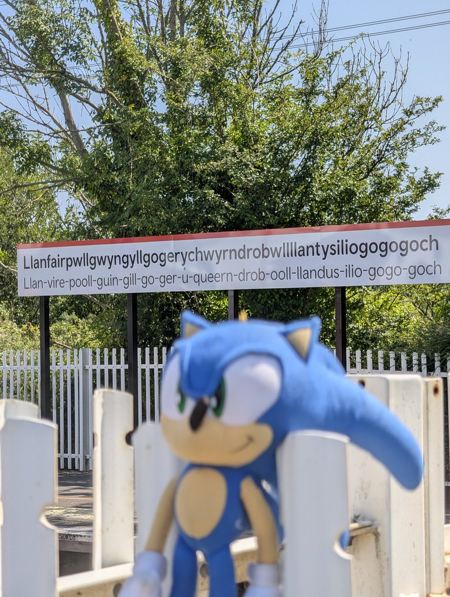 ham_sonic's tweet photo. ask and you shall receive https://t.co/nUtRzVVFHm