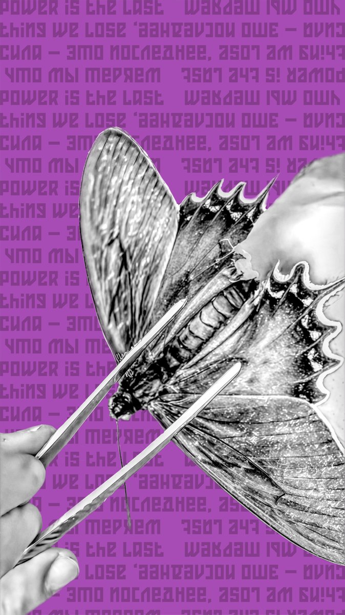 SosedniyG_'s tweet photo. Welcome to the city of butterflies.

#SosedniyGorod https://t.co/JDOFdXC5jL