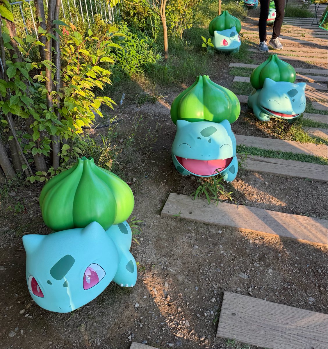 usumi1141's tweet photo. ちびろーるの誕生日（前日）ってことでポケパークカントーへ🌱
グリの整理券は取れなかったけど、タウンにはよくポケモンがでてきてくれるから最後にイーブイと写真撮れて満足してもらえた😂ﾖｶｯﾀｰ
私も旦那もポケモンは通って来たからみんなで楽しめた〜！！！ https://t.co/cXhLqeFR9x