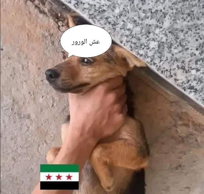 190yousef's tweet photo. مرحبا في حدا يرد عليي من قلب #عش_الورور

واذا مافي لطيزي 😂 https://t.co/P7Mzfikc6T