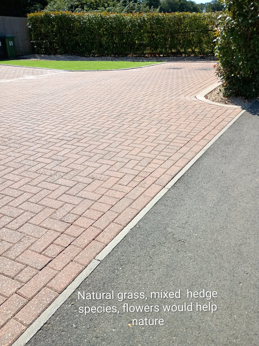 SDoxat's tweet photo. Plastic grass, paving and tarmac can't feed insects, birds or hedgehogs and will kill all soil dwelling organisms and will make the neighbourhood hotter. Please grow plants. https://t.co/E9TZTHkd90