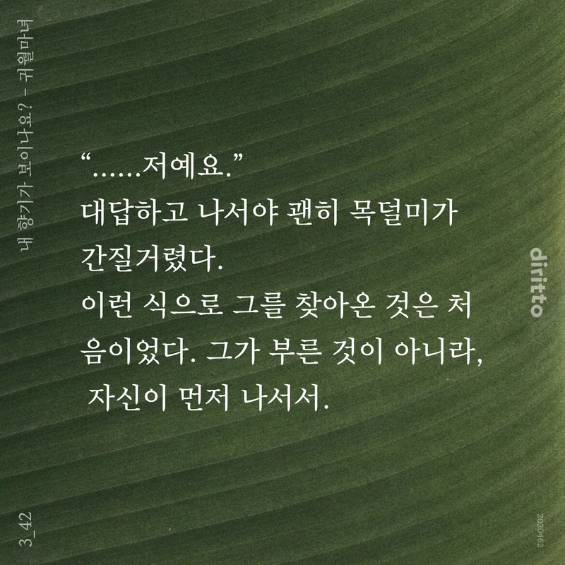 귀월 tweet media