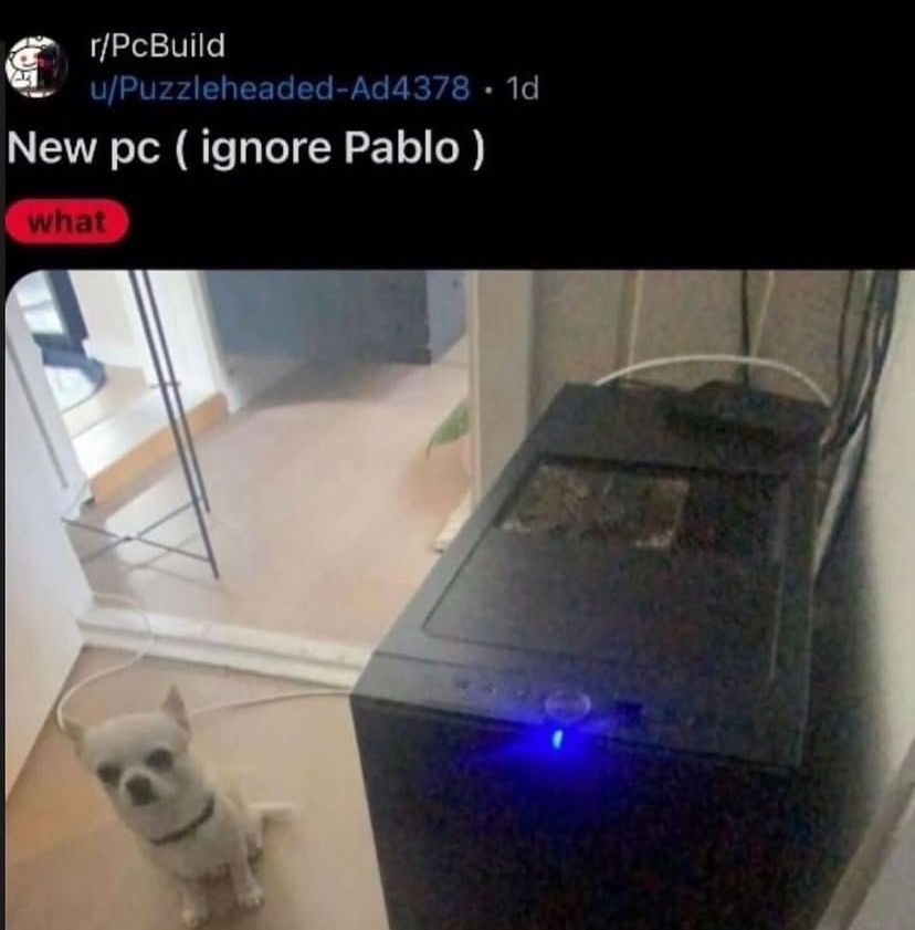 redditbutfunny's tweet photo. https://t.co/gGapP1ymUc