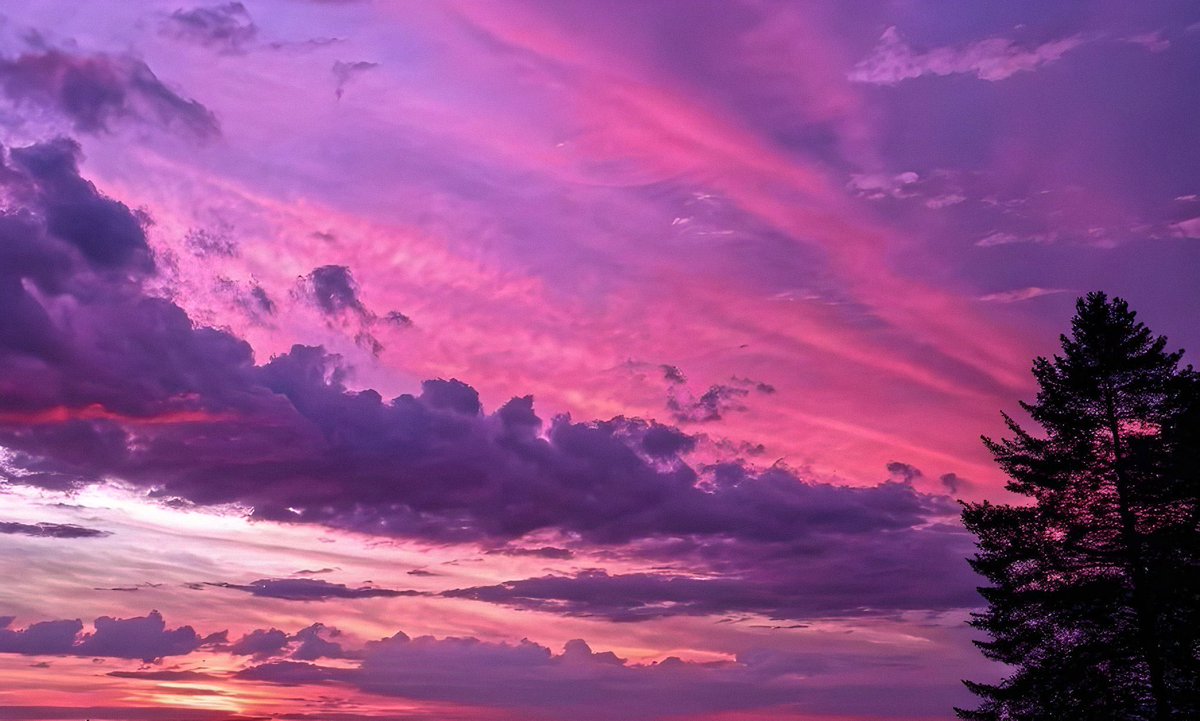 lunecrumbss's tweet photo. i love the tingly feeling when the sky turns slightly pink. https://t.co/ahzuSDUHQD