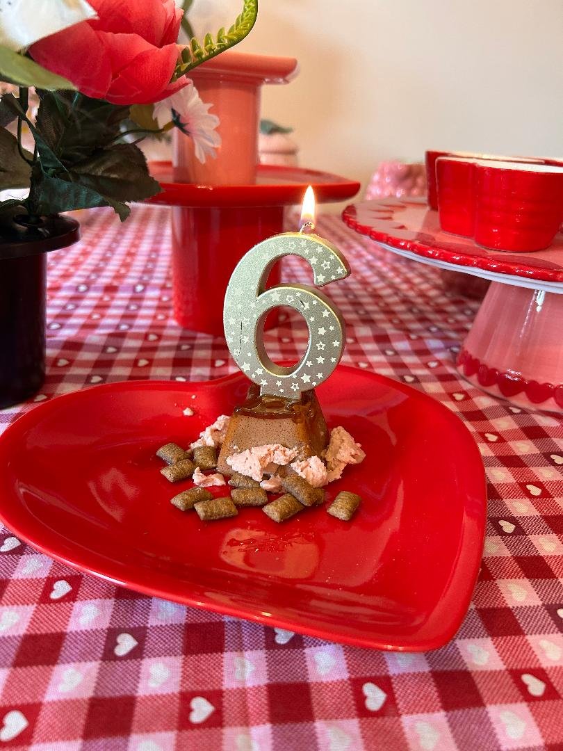 ElizabethRadcl5's tweet photo. Today is my 6th birthday xxx Thank you all for following me and all the lovely messages you send me Mummy reads them all to me I love you all love Boots xxxx #kittytwitter 😻😻😻😻😻😻😻😻🥰😇🥰🥰🥰 https://t.co/732O8GYyK0