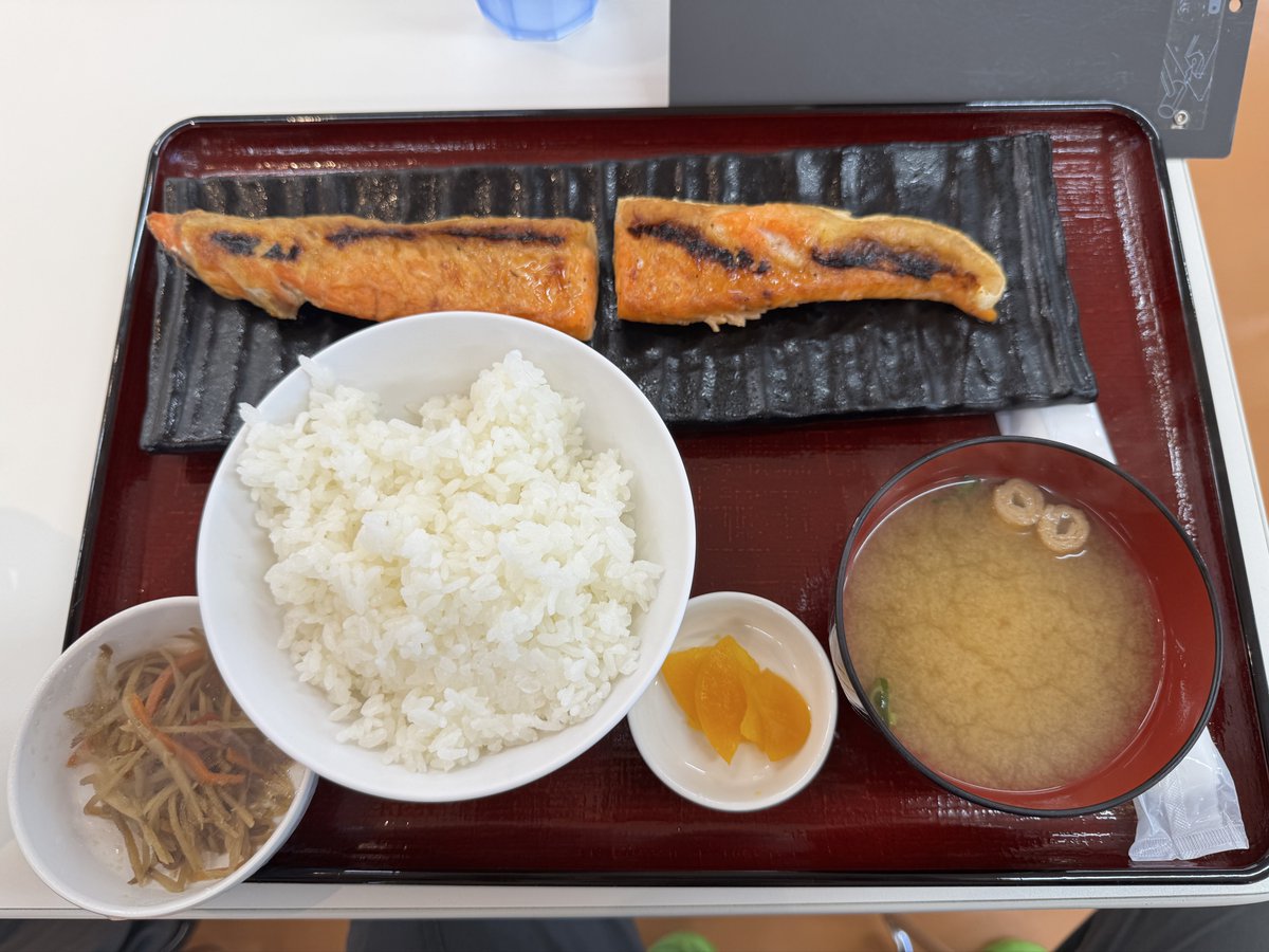 havaneroRL's tweet photo. 昨日食べたガチうましゃけ定食 https://t.co/xyCNYYAbSK