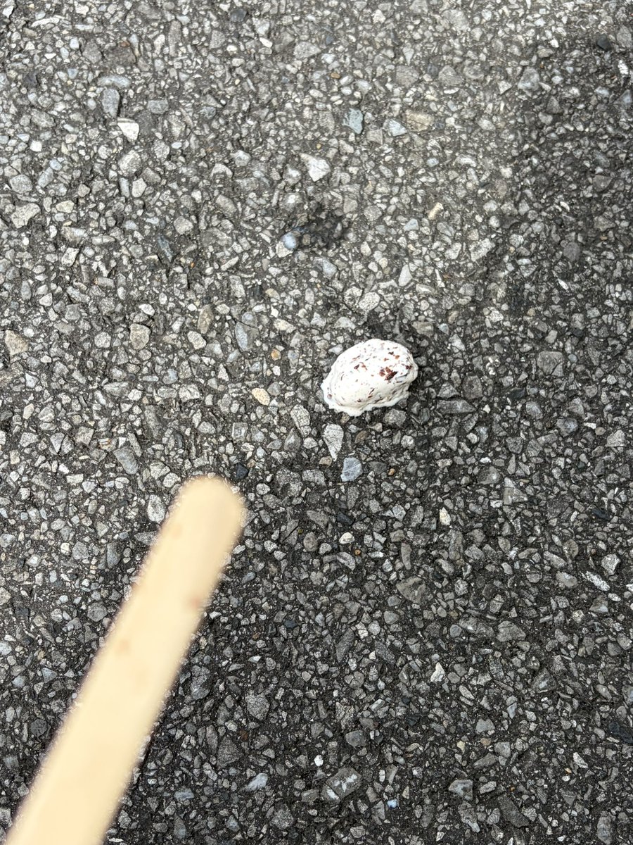mkd_tr's tweet photo. こんな出来事で夏を味わいたくはなかった https://t.co/sc4LEFFoIl