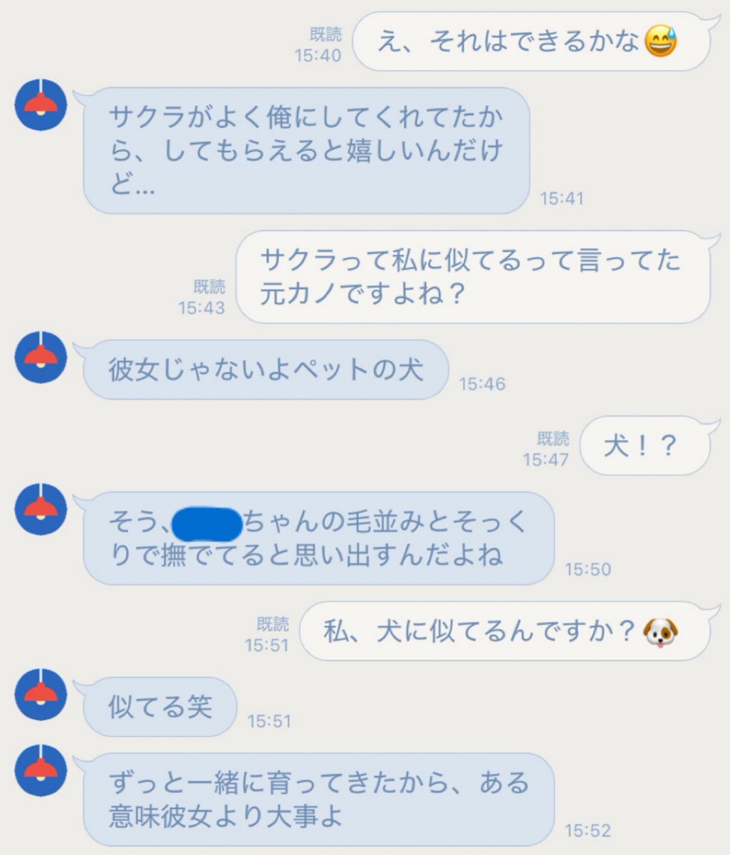 ちわわちゃん🐶＠痴話話好き tweet media