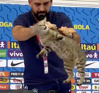 The_Davos_Man's tweet photo. The real world cup mascot always ends up being something else.

2010 - Paul the Octopus who correctly predicted all games
2014 - James Rodrigues grasshopper
2022 - The cat that cursed Brazil
2026 - Merlin the Mexican duck https://t.co/MbBiIhX2zq
