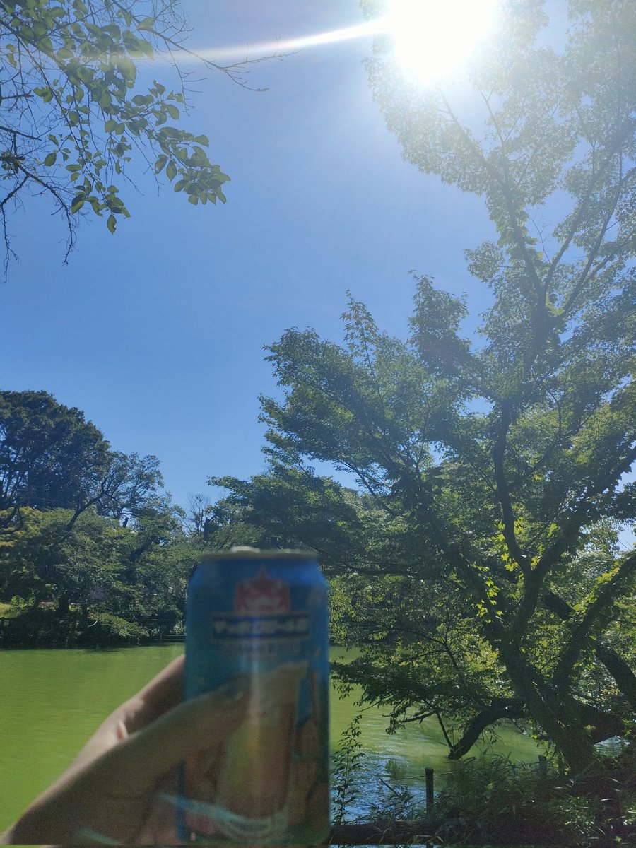 B7type's tweet photo. わーい！夏だー☀ https://t.co/sPYP1ilNWU