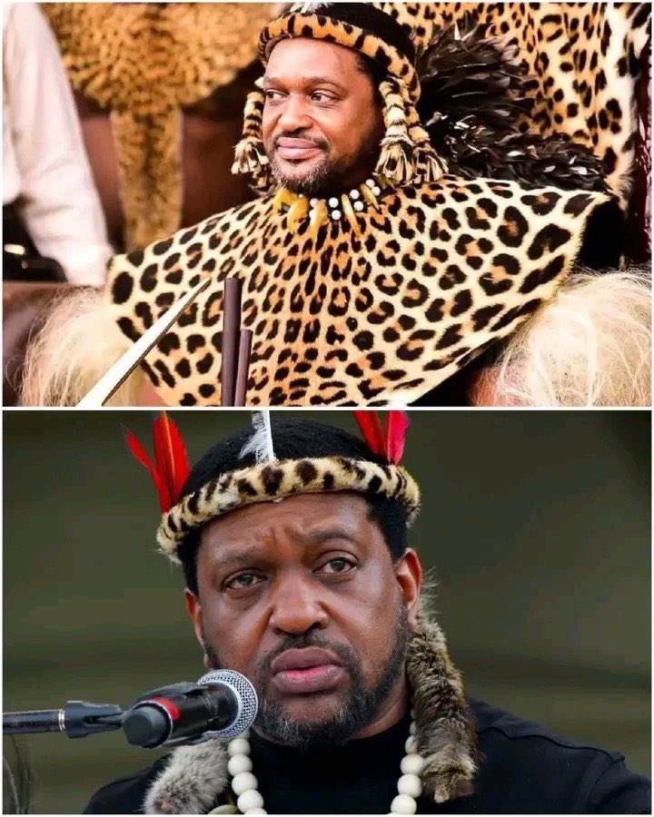 Stimela_Mgazi's tweet photo. King MisusZulu was wrongly advised to marry a woman that has a child from another man. He was wrongly advised to be always up and down meeting with Ramaphosa, he was wrongly advised to fire people who have been honestly advising him. Now he has put the name of the Zulu Nation into disrepute by a marrying someone who does not have respect of the Nation. You can’t be a wife and go around hugging people and leaving your house without your husband’s knowledge, it’s not done and uncalled for. The King errored on the language used under the influence but the actions of the wife must be addressed and taken to task. This was a private matter and personal matter and has nothing to with the us and the Nation! Why put it on social media?