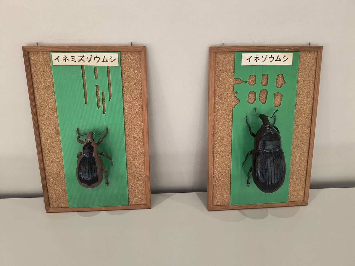 KusuharaH's tweet photo. 研究会で展示されていたがとても良い https://t.co/yCqRQDg3Vt