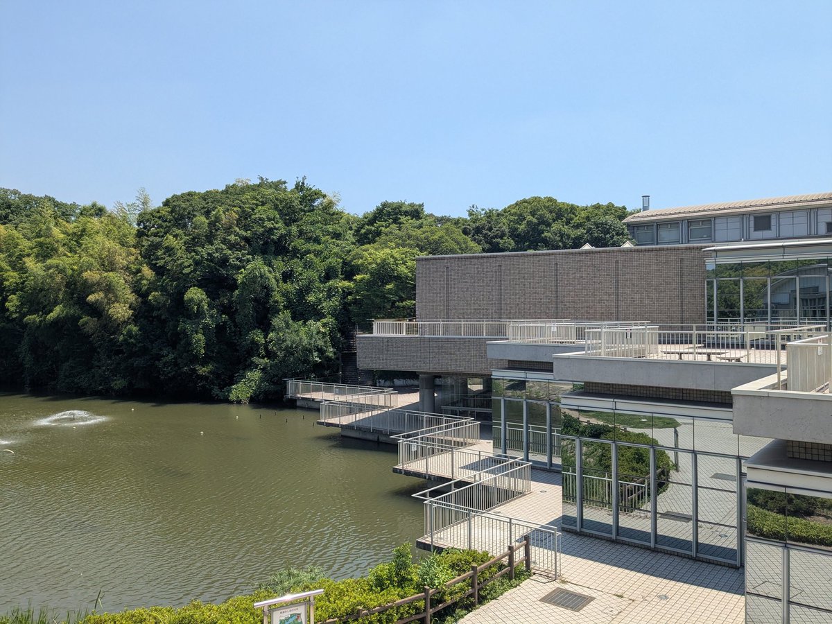 jar_twinklestar's tweet photo. @SxoWtGpqyJ30562 多治見では…ありません🤣
#愛知県 #東海市
#愛知県東海市
#聚楽園公園 https://t.co/UDzNCQ9FTA