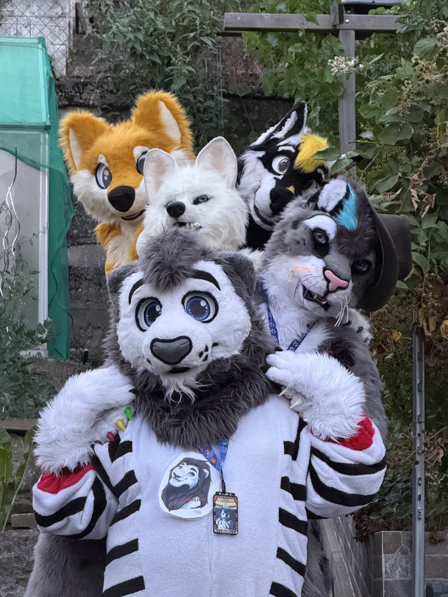 themindofurry tweet picture
