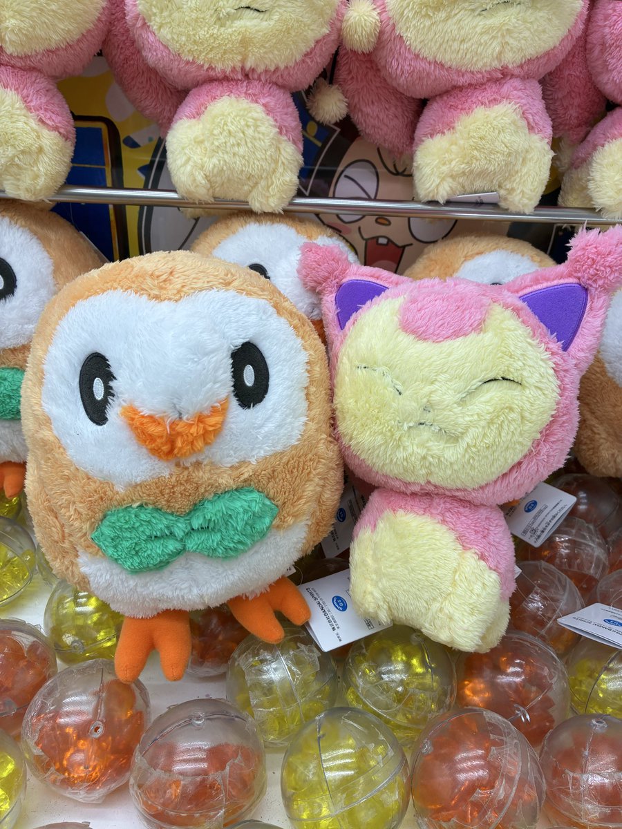 otachu_hitachi's tweet photo. ⭐️景品入荷情報⭐️

ポケモンフォーカス 
＜地方別のすがた＞
ぬいぐるみ〜ガーディ・ガーディ
（ヒスイのすがた）・ウパー・ウパー（パ
ルデアのすがた）～

ポケットモンスターもふぐっと
ほっこりいやされぬいぐるみ～エネコ・モ
クロー〜

入荷しました！ https://t.co/1OW7wndy3K