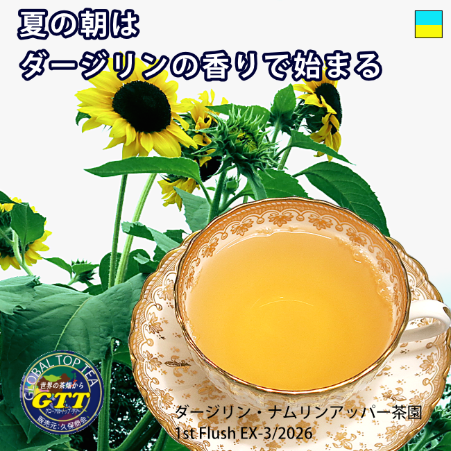 Global_Top_Tea's tweet photo. かつて「ニューヨークの朝はコーヒーで始まる」、テレビコマーシャルが流れていました。このシーンが気に入っていて、たまたま、一人コーヒーを飲もうと尋ねました。緑に囲まれ、温室のようなガラス張りの、朝日が差し込む店でした。喧噪のニューヨーク、こやって至福のひとときを作るのかと勉強に https://t.co/ozbYMr9ZIW
