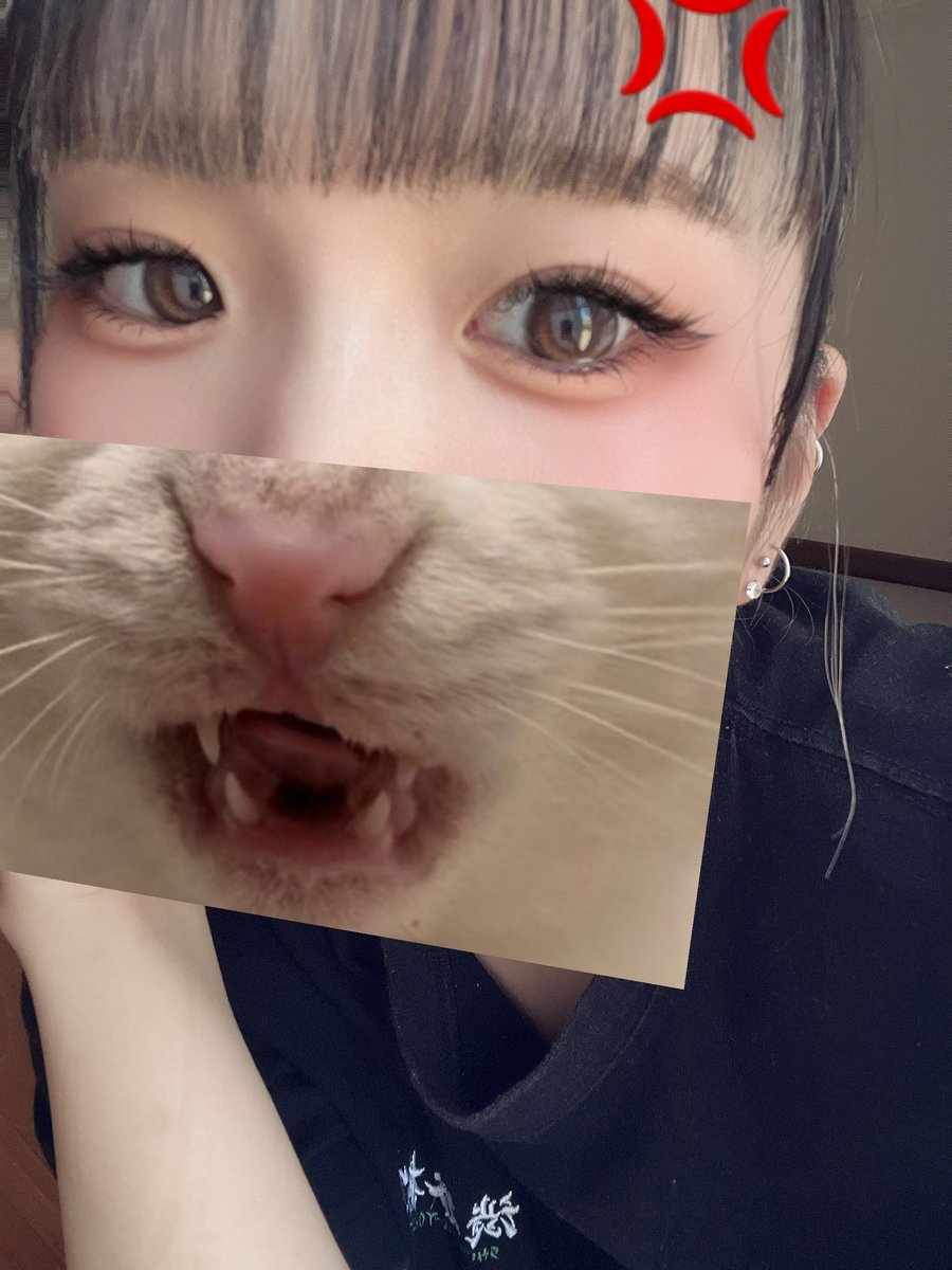 sacha_sk01's tweet photo. カラコンサイズ変えたら違和感でしかない🫪 https://t.co/FFdOx9VbWK