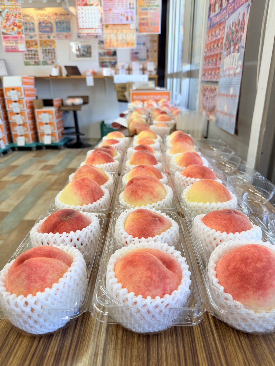 明日7/11より あらかわの桃発売予定🍑 品種は全て白鳳になります